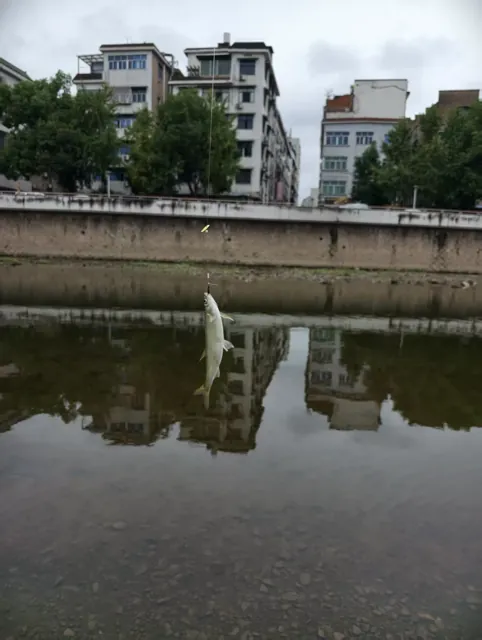 河岸倒影，慢一点也很好